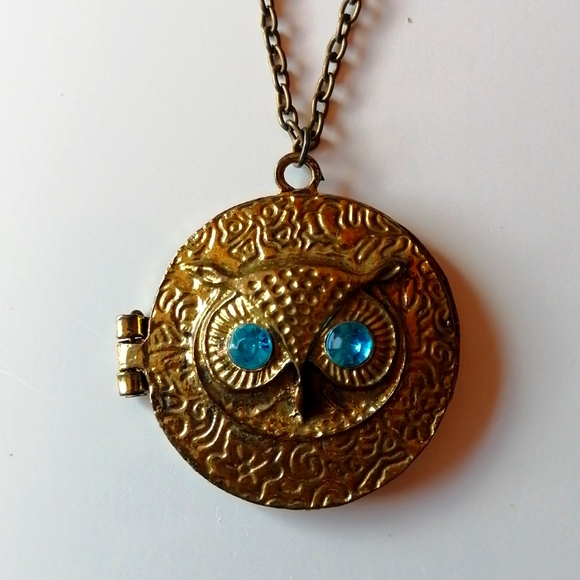 Vintage Jewelry - Vintage Steampunk Blue Eyes Owl Locket Necklace